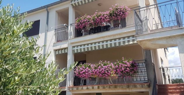 Apartments Fiorela - Comfort app with sea view