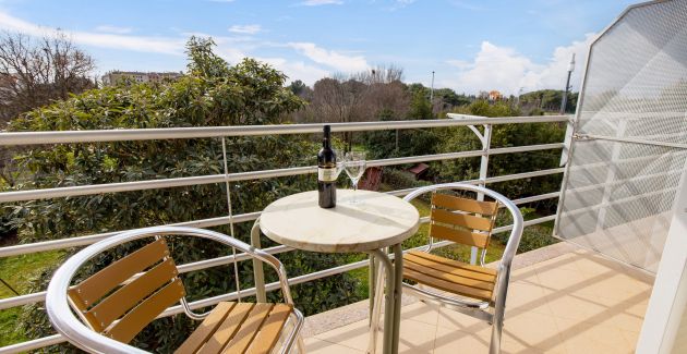 Apartment Dezela with two balconies