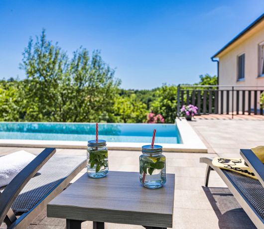 Holiday Home with pool and garden - Tervis