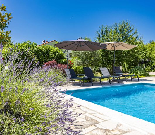 Holiday House with pool near Rovinj