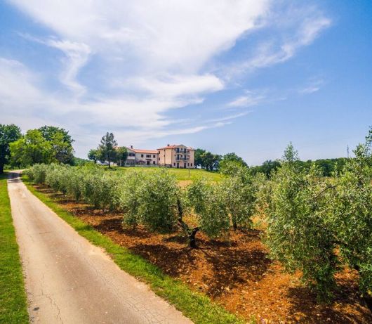 Lovely House LINDI in Poreč- One-bedroom apartment