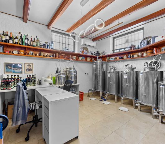 Olea Magica / 2B Apt Buza with garden