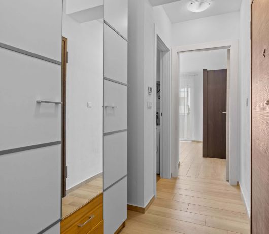 Apartment MATIS near Medulin beach