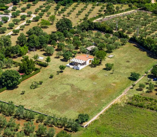 Holiday House Leo