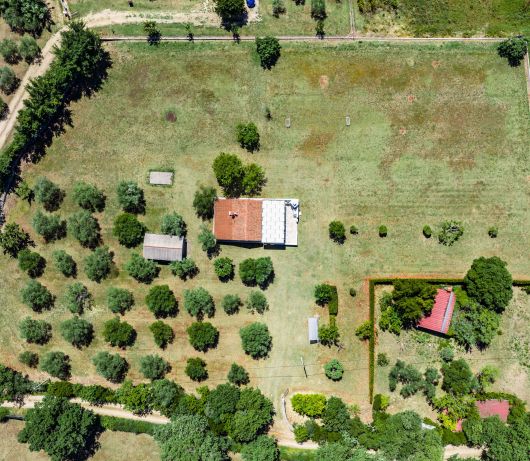 Holiday House Leo