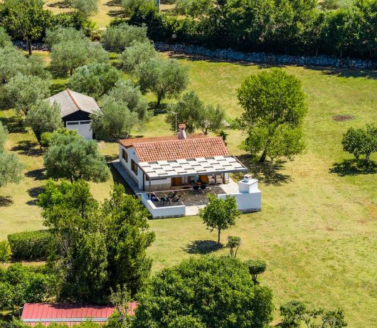 Holiday House Leo