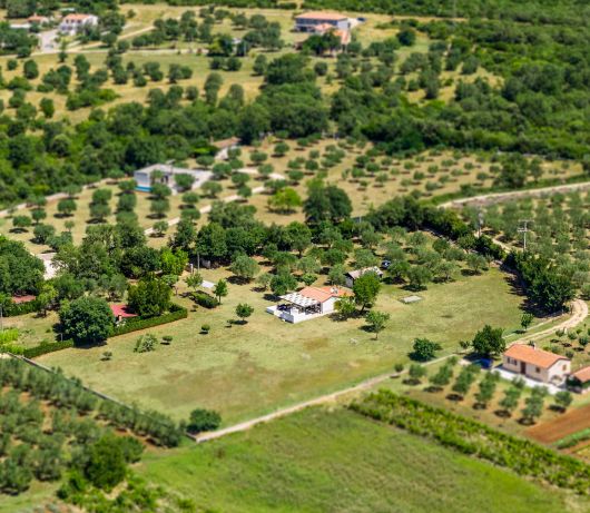 Holiday House Leo