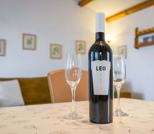 Holiday House Leo