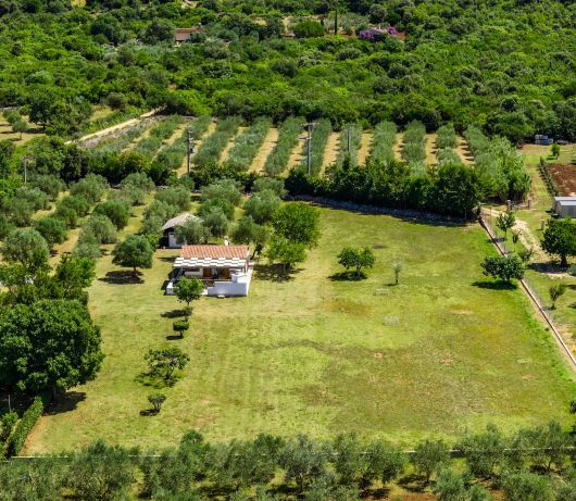 Holiday House Leo
