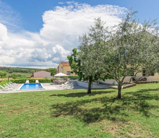 Holiday Home with pool in Višnjan