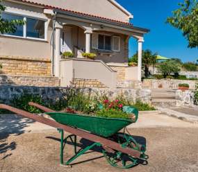 Holiday home Ante with beautiful private garden