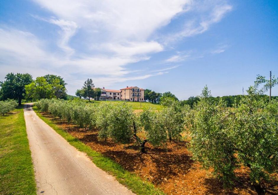 Lovely House LINDI in Poreč- One-bedroom apartment