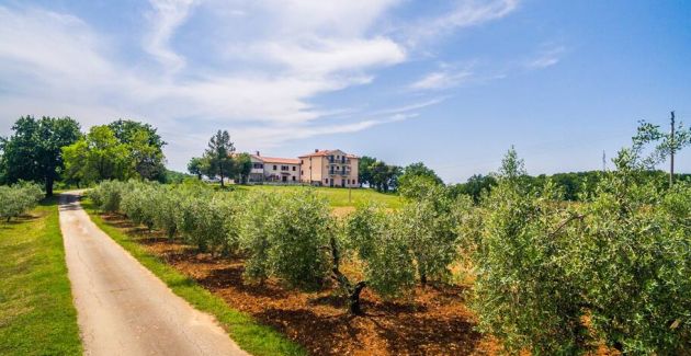 Lovely House LINDI in Poreč- One-bedroom apartment