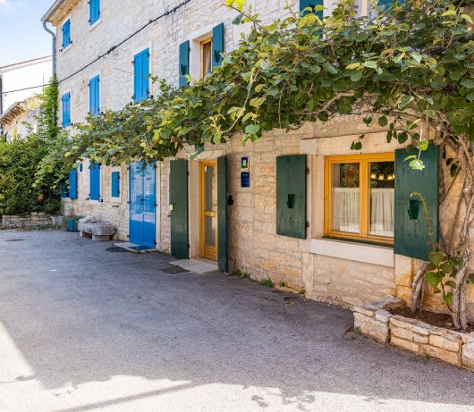 Rustic Villa Diana with pool near Rovinj