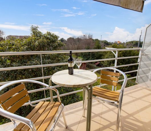 Apartment Dezela with two balconies